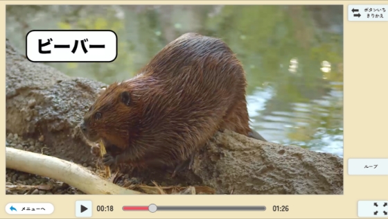 「読むこと」教材への理解を深める！資料動画